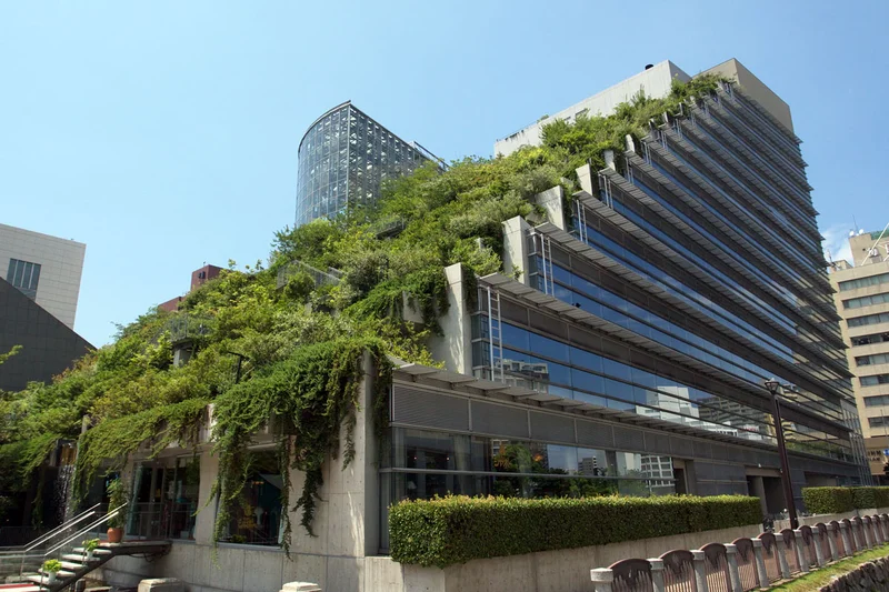 Telhado verde em um edifício residencial.