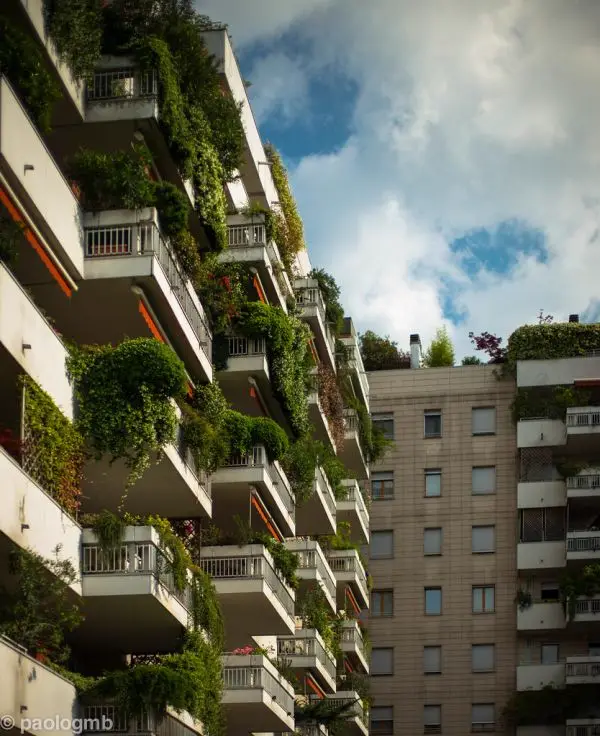 Edifício residencial com sacadas cobertas de árvores e vegetação, tipo floresta vertical
