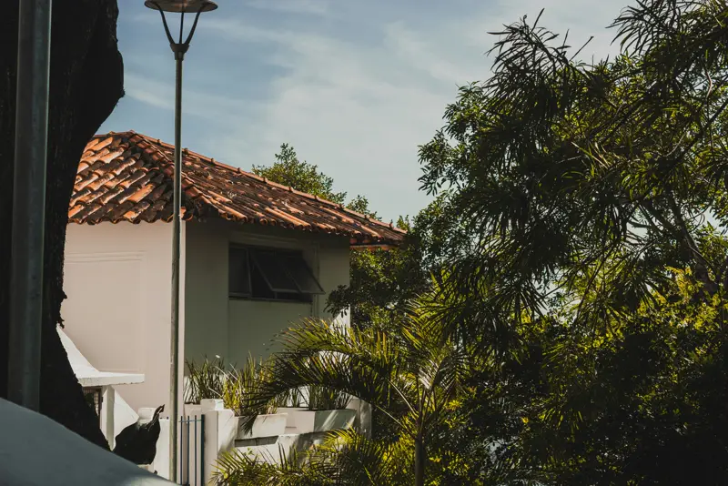Casa com telhado cerâmico de duas águas inclinado, cercada por árvores em ambiente tropical