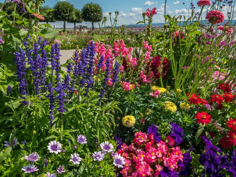 Canteiro de jardim florido com sálvias, antirrhinum e gerânios coloridos sob sol pleno